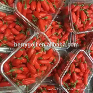 Bayas de goji congeladas